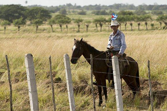 Avanza la Caravana hacia Santiago de Cuba, en el tercer día de peregrinaje por la Isla de las cenizas del Comandante en Jefe. Foto: Irene Pérez/ Cubadebate Avanza la Caravana hacia Santiago de Cuba, en el tercer día de peregrinaje por la Isla de las cenizas del Comandante en Jefe. Foto: Irene Pérez/ Cubadebate
