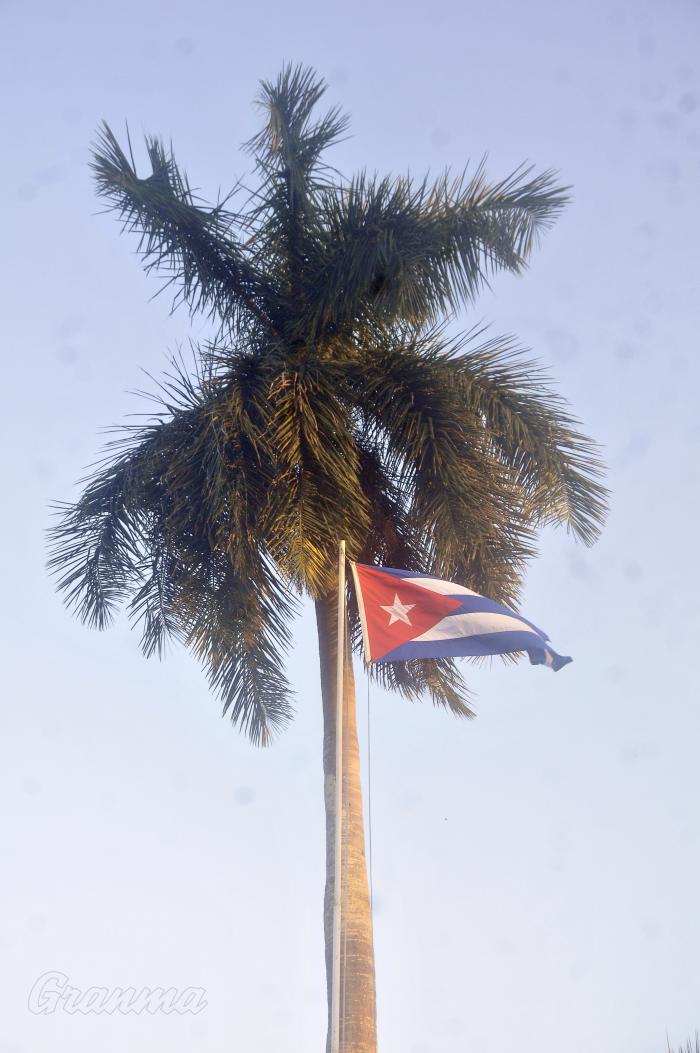 Cuba Libre, Palma Real y la Bandera Cubana. Cuba Libre, Palma Real y la Bandera Cubana.