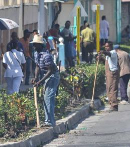 Trabajadores del servicio de Comunales embellecen la avenida por donde pasará la caravana con las cenizas de Fidel Trabajadores del servicio de Comunales embellecen la avenida por donde pasará la caravana con las cenizas de Fidel