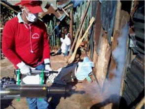 Galenos cubanos fumigan las casas e insisten en el uso de repelentes