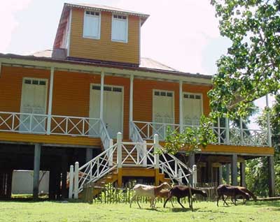 La casa familiar. Se aprecia el altillo que servía como habitación del matrimonio y mirador. A la derecha, al fondo, una extensión de la casa construida posteriormente por Don Ángel para albergar las oficinas de la finca.